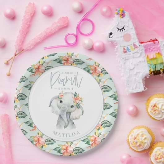 Waterverf olifant kleine pinda - verjaardagsfeestj papieren bordje (Feest)