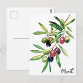 Waterverf Olive Branch Briefkaart (Voorkant / Achterkant)