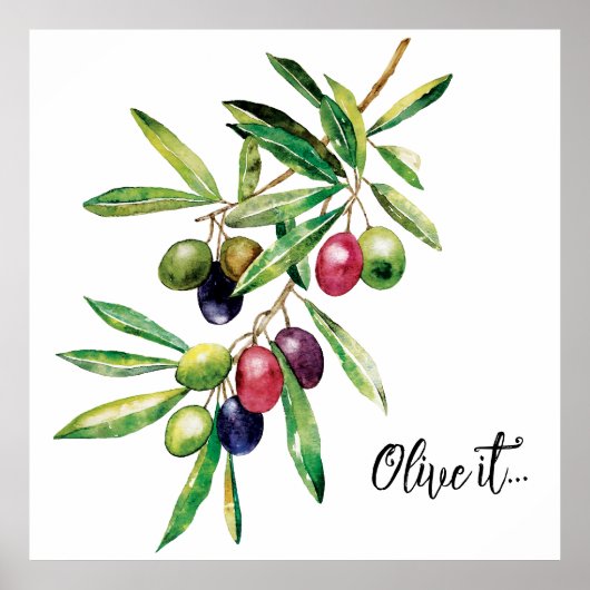 Waterverf Olive Branch Poster (Voorkant)