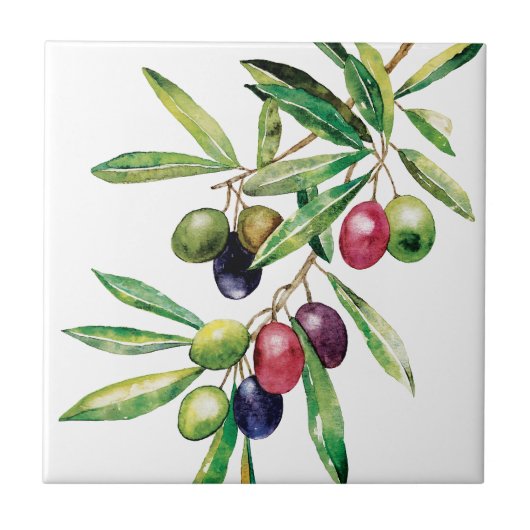 Waterverf Olive Branch Tegeltje (Voorkant)