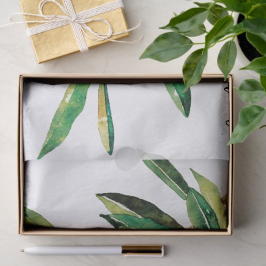 Waterverf Olive Branch Tissuepapier (Geschenk)