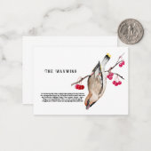 Waterverf ontwerp Bos vogel waxwing Notitiekaartje (Voorkant / Achterkant in situ)