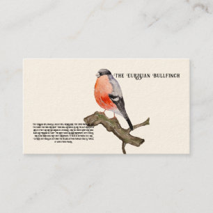 Waterverf ontwerp bosvogel bullfinch visitekaartje