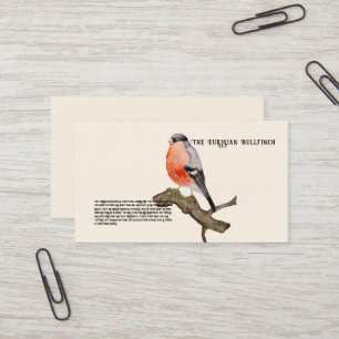 Waterverf ontwerp bosvogel bullfinch visitekaartje