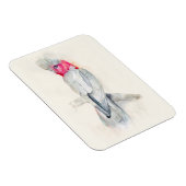 Waterverf Opera Cockato Magneet (Rechterzijde)