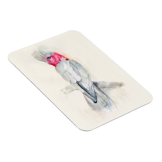 Waterverf Opera Cockato Magneet (Rechterzijde)