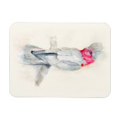 Waterverf Opera Cockato Magneet (Horizontaal)