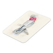 Waterverf Opera Cockato Magneet (Linkerzijde)