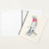 Waterverf Opera Cockato Planner (Display)