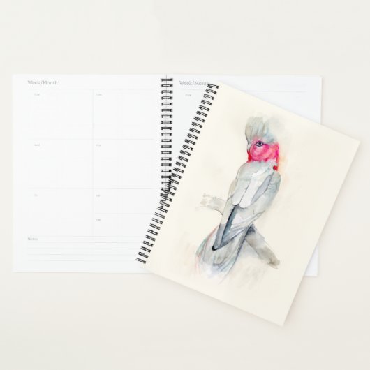 Waterverf Opera Cockato Planner (Display)