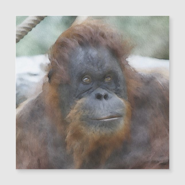 Waterverf Orang (Voorkant)