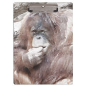 Waterverf Orang 2 Klembord (Voorkant)