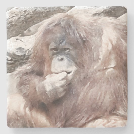 Waterverf Orang 2 Stenen Onderzetter (Voorkant)