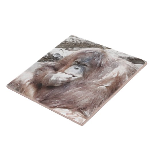 Waterverf Orang 2 Tegeltje (Zijkant)