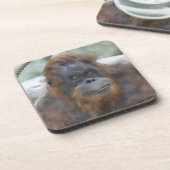 Waterverf Orang Bier Onderzetter (Linkerzijde)