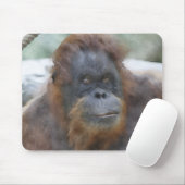 Waterverf Orang Muismat (Met muis)