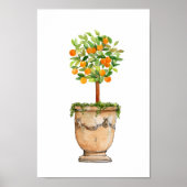 Waterverf Oranje boomtopiary in antiek urn Poster (Voorkant)