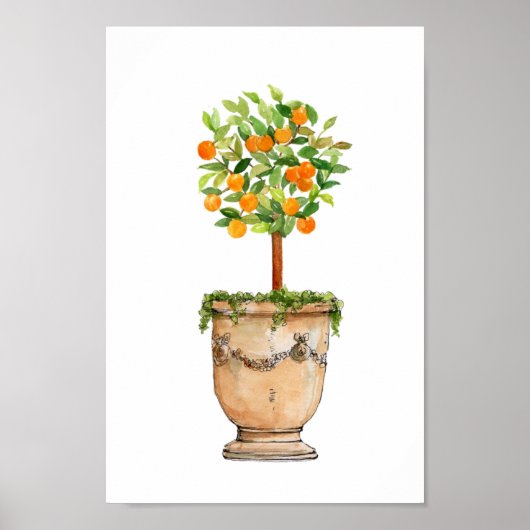 Waterverf Oranje boomtopiary in antiek urn Poster (Voorkant)
