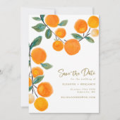 Waterverf Oranje Citrus Fruit Script Weddenschap Save The Date (Voorkant)