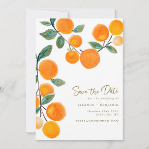 Waterverf Oranje Citrus Fruit Script Weddenschap Save The Date