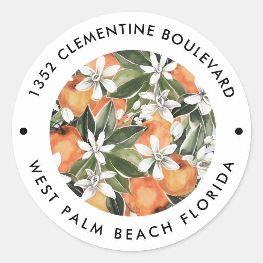 Waterverf Oranje Clementine retouradres Ronde Sticker (Voorkant)