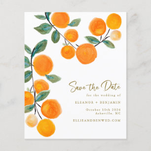 Waterverf Oranje fruit behalve datum