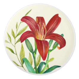 Waterverf Oranje Lily Illustratie over Beige Keramische Knop