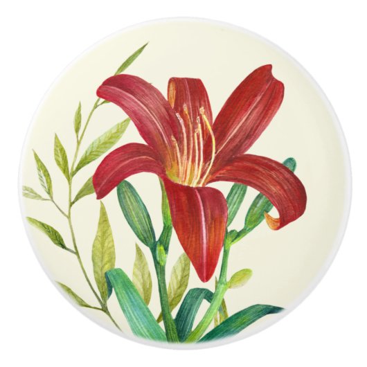 Waterverf Oranje Lily Illustratie over Beige Keramische Knop (Voorkant)