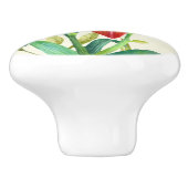 Waterverf Oranje Lily Illustratie over Beige Keramische Knop (Zijkant)