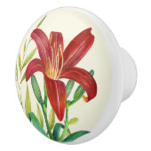 Waterverf Oranje Lily Illustratie over Beige Keramische Knop (Rechts)