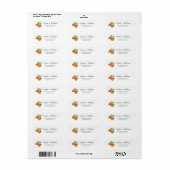 Waterverf Oranje op wit retouradres  Etiket (Full Sheet)