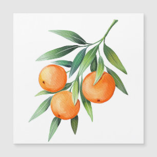 Waterverf Oranje vruchten: takken geïsoleerd.