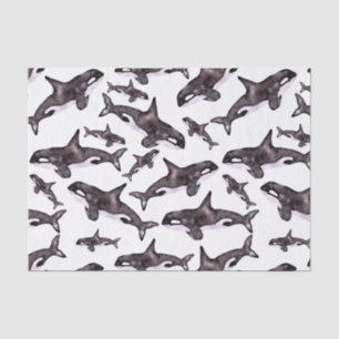 Waterverf Orca Tissuepapier