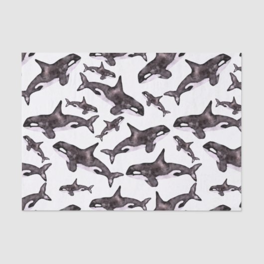 Waterverf Orca Tissuepapier (Voorkant)