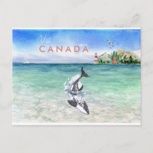Waterverf Orca   Vintage Travel Canada Post Card Briefkaart