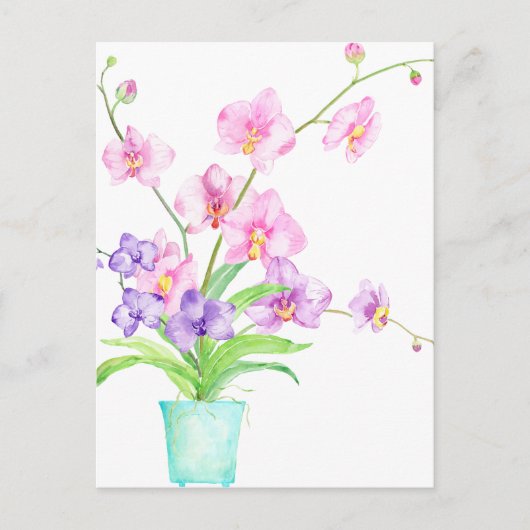 Waterverf Orchid in Pot Briefkaart (Voorkant)