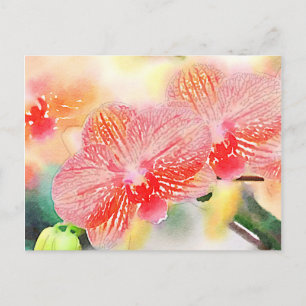 Waterverf Orchideeën Briefkaart