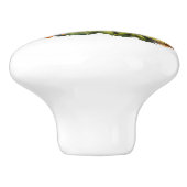 Waterverf Oriole op tak en bessen Keramische Knop (Zijkant)