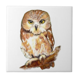 Waterverf Owl Cute Bird art Tegeltje