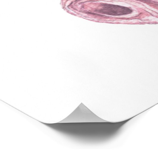 Waterverf Owl Poster (Hoek)