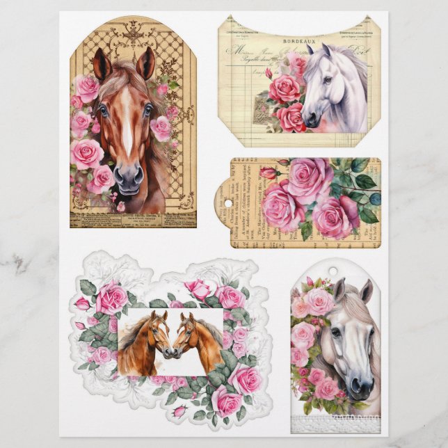 Waterverf paarden met roze rozen Ephemera (Voorkant)
