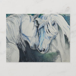 Waterverf PaardenBriefkaart Briefkaart