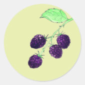 Waterverf Paarse Braam Botanisch Ronde Sticker (Voorkant)