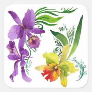 Waterverf Paarse en gele orchidee bloemen Vierkante Sticker