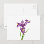 Waterverf Paarse Iris Botanische Floral Art Briefkaart (Voorkant / Achterkant)