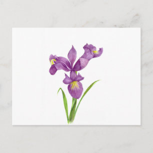 Waterverf Paarse Iris Botanische Floral Art Briefkaart