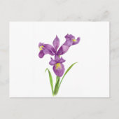 Waterverf Paarse Iris Botanische Floral Art Briefkaart (Voorkant)