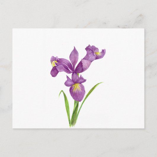 Waterverf Paarse Iris Botanische Floral Art Briefkaart (Voorkant)