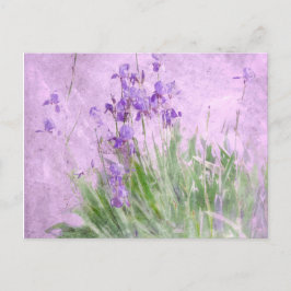 Waterverf Paarse Irises - Briefkaart
