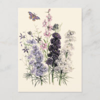Waterverf Paarse, roze tuinbloemen, vlinder